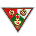 BROWNIE COOKIE DECISION MAKER BADGE