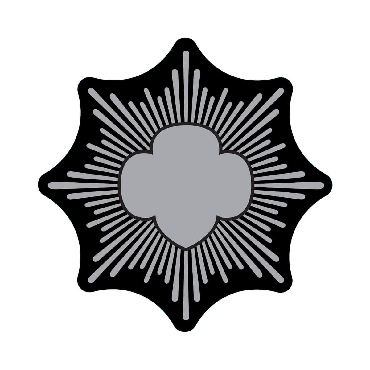 GIRL SCOUT SILVER AWARD WATER BOTTLE DECALS