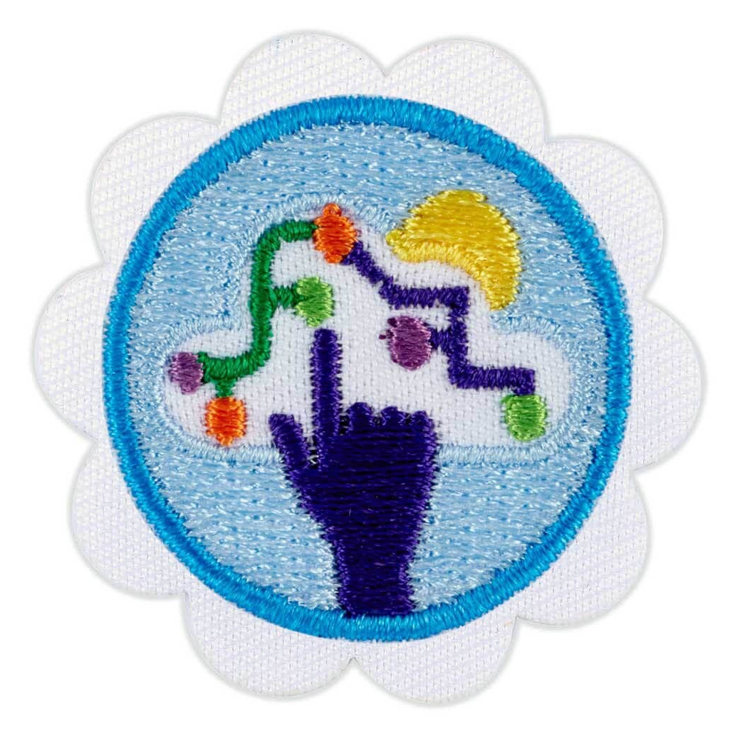 DAISY DIGITAL LEADERSHIP BADGE
