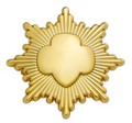 GOLD AWARD PIN - GOLD PLATED