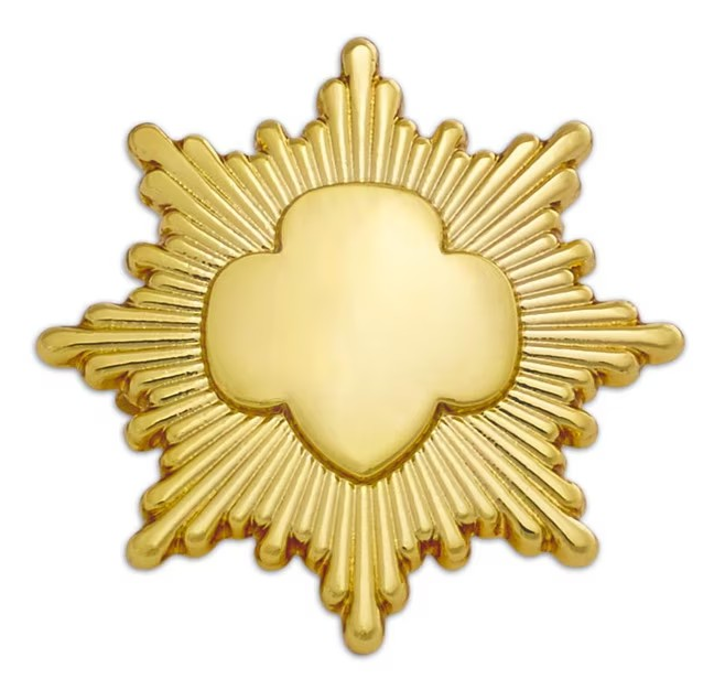 GOLD AWARD PIN - GOLD PLATED