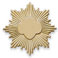 GOLD AWARD PIN - GOLD FILLED