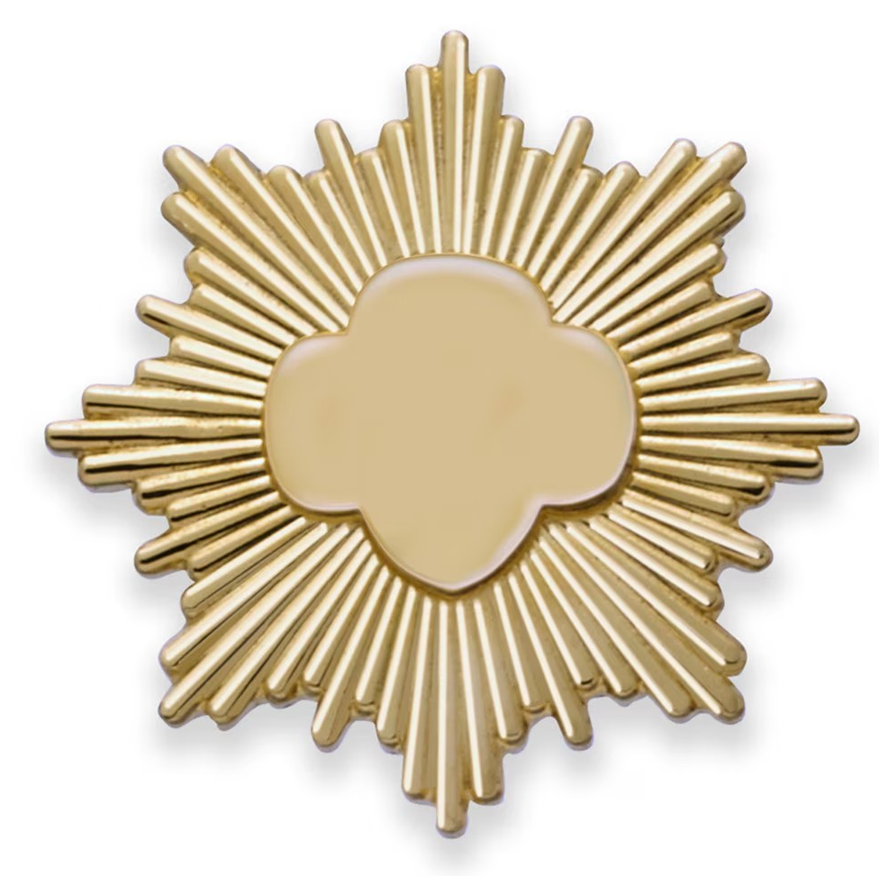 GOLD AWARD PIN - GOLD FILLED