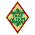 Cadette Take Action Award