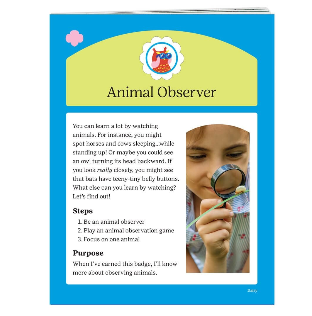 Daisy Animal Observer Badge Requirements