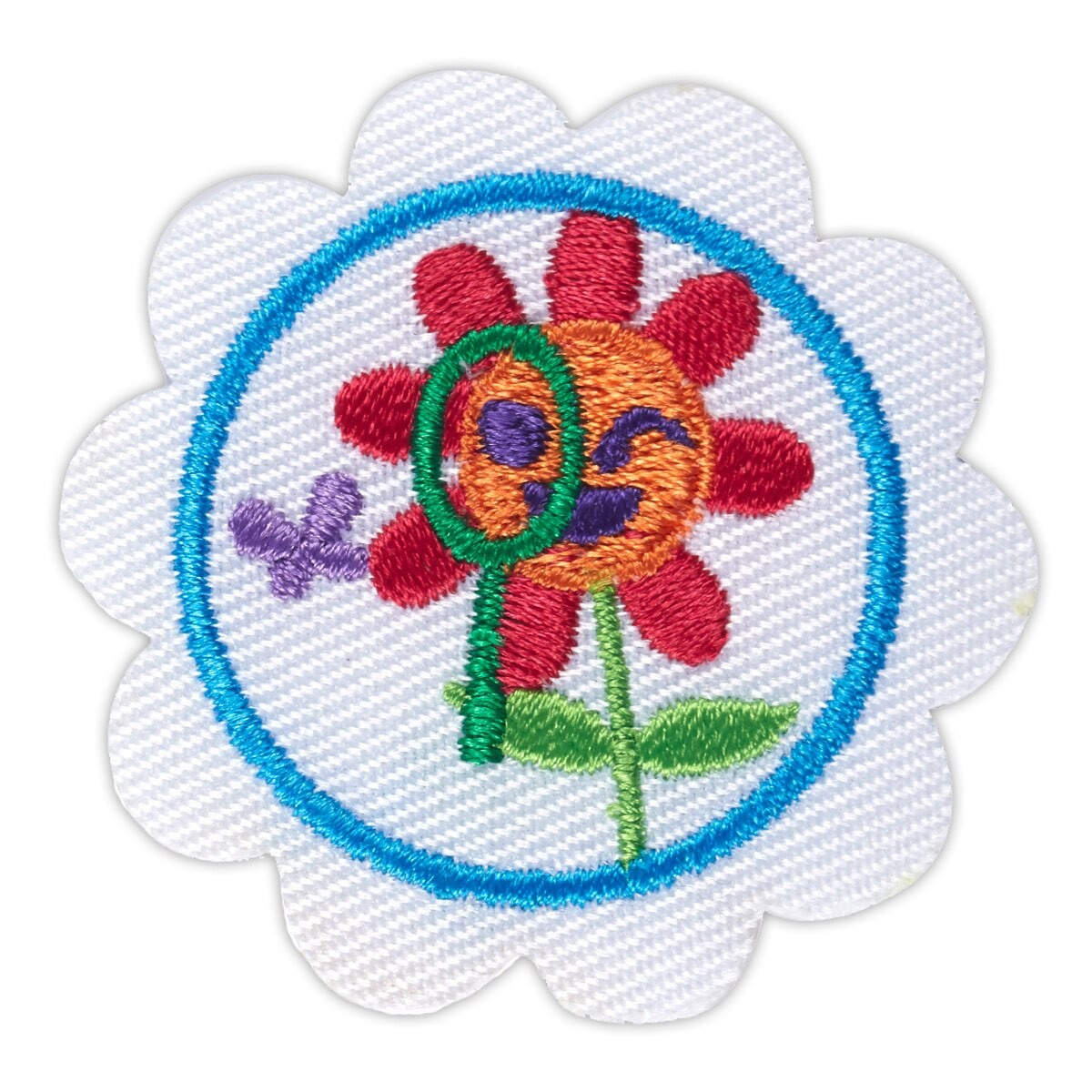 Daisy Outdoor Stem Journey Award -Think Like a Citizen Scientist