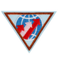 BROWNIE GLOBAL ACTION AWARD YEAR 1