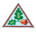 BROWNIE MY OWN BUDGET FINANCIAL EMPOWERMENT I