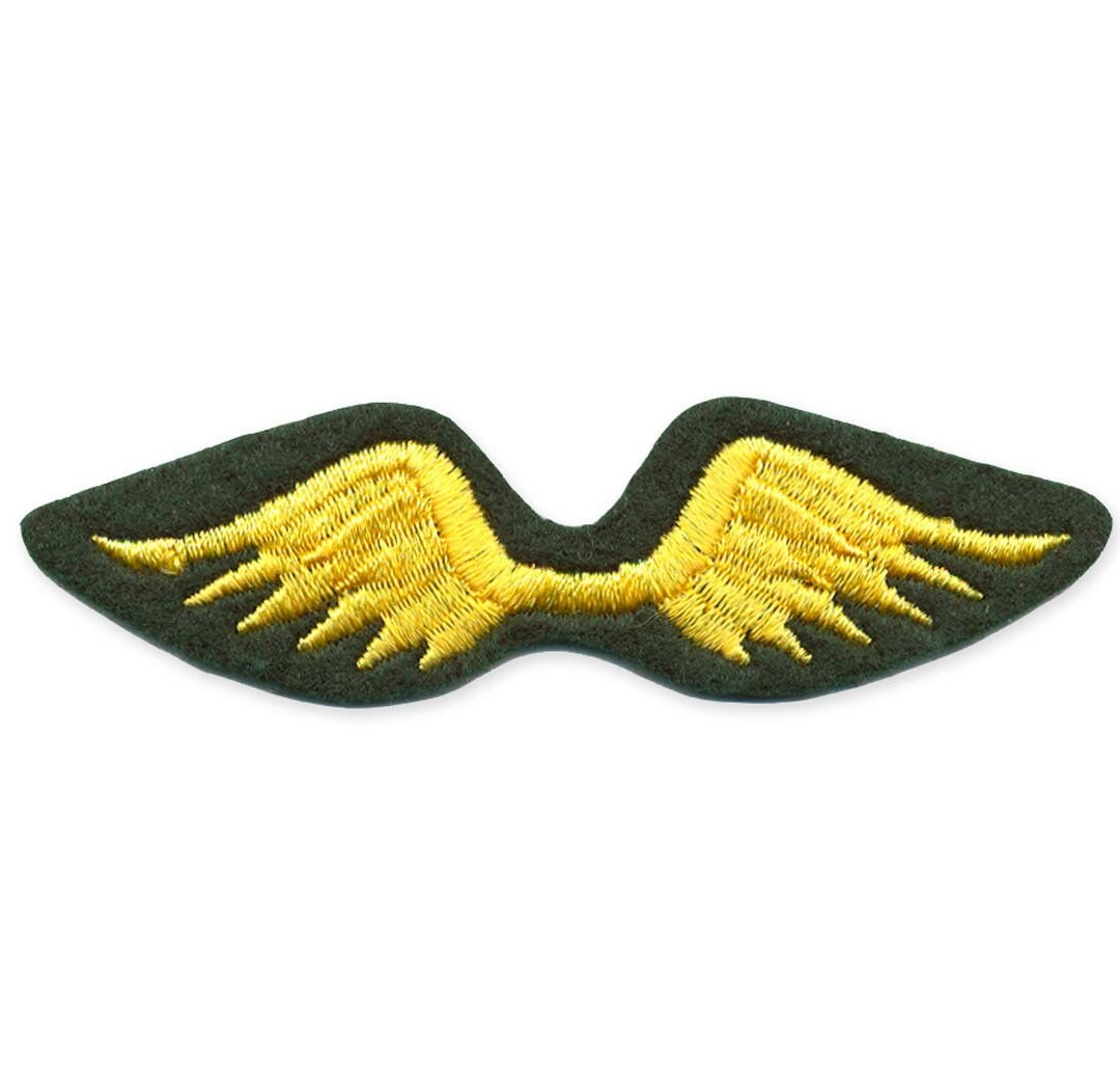 BROWNIE GS WING