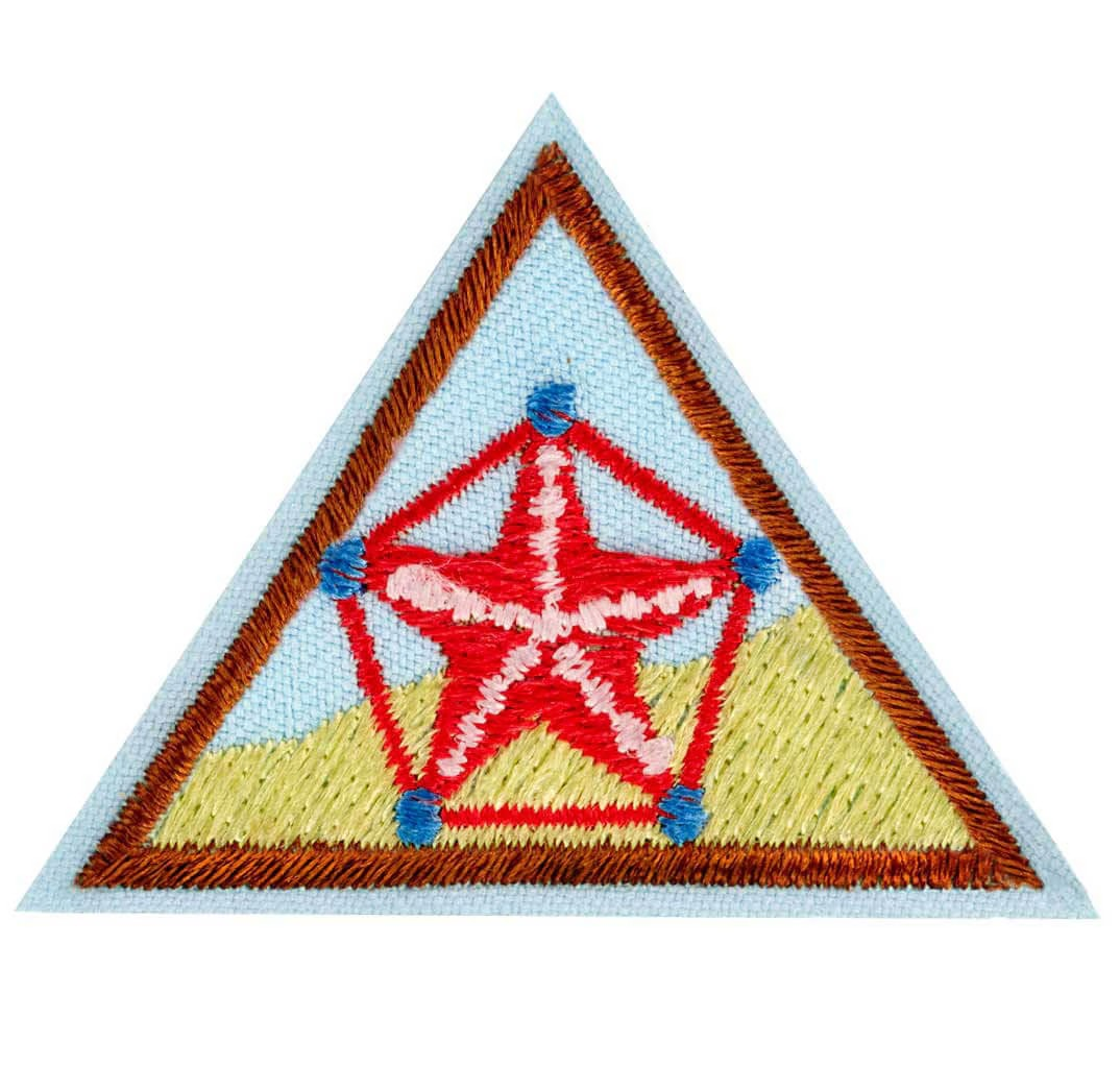 BROWNIE NUMBERS IN NATURE BADGE