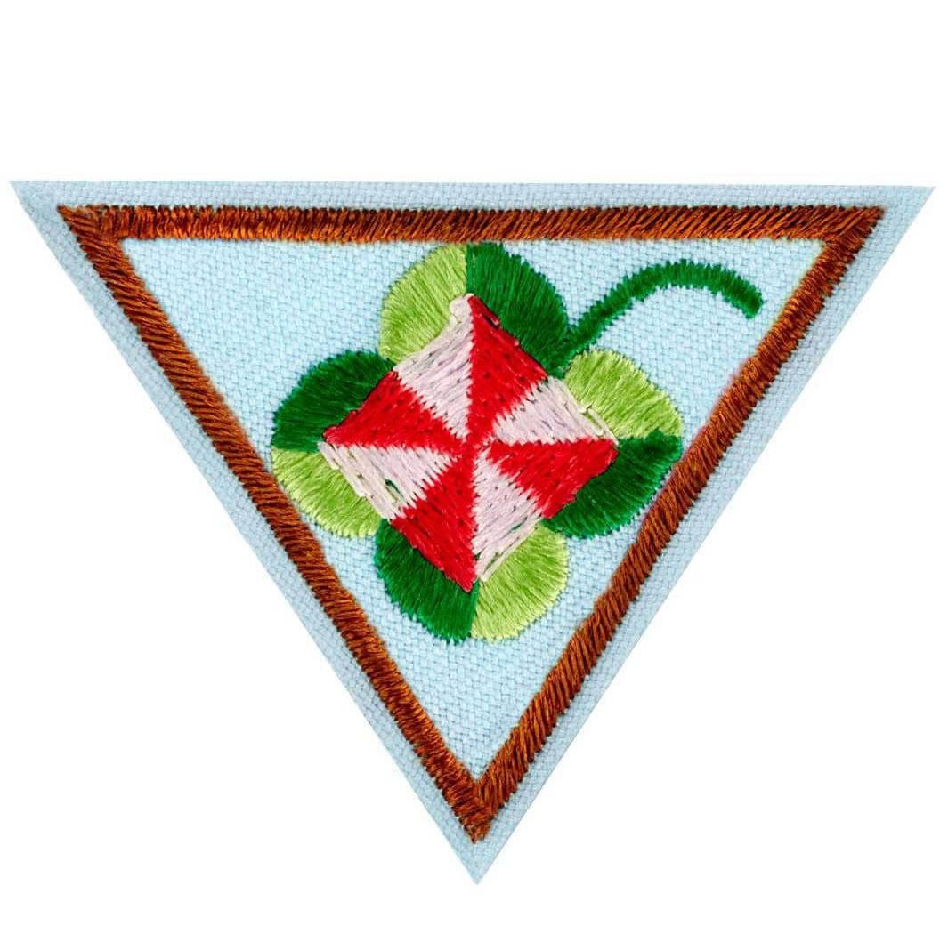 BROWNIE SHAPES IN NATURE BADGE