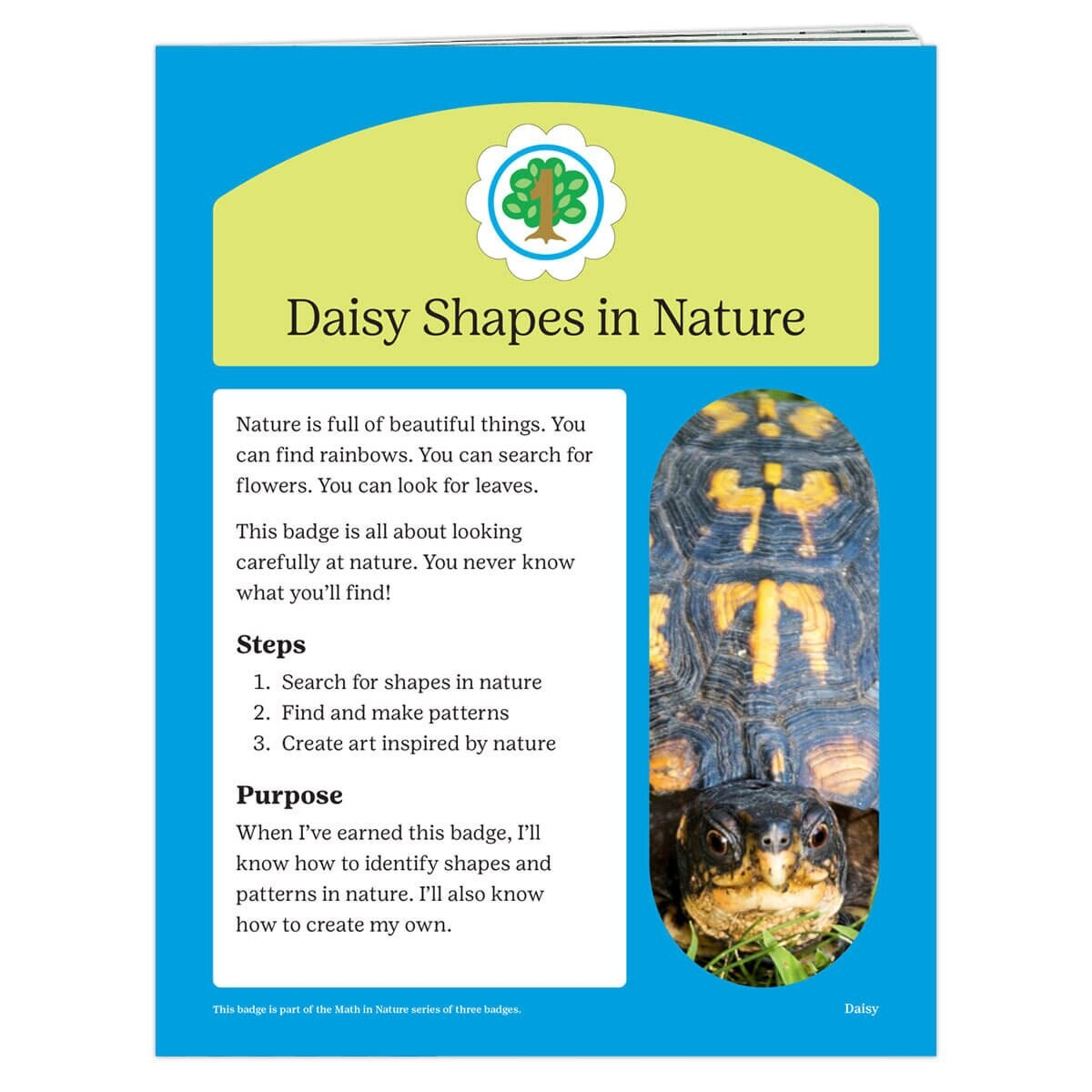 DAISY SHAPES IN NATURE BADGE REQUIREMENTS