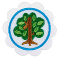 DAISY SHAPES IN NATURE BADGE