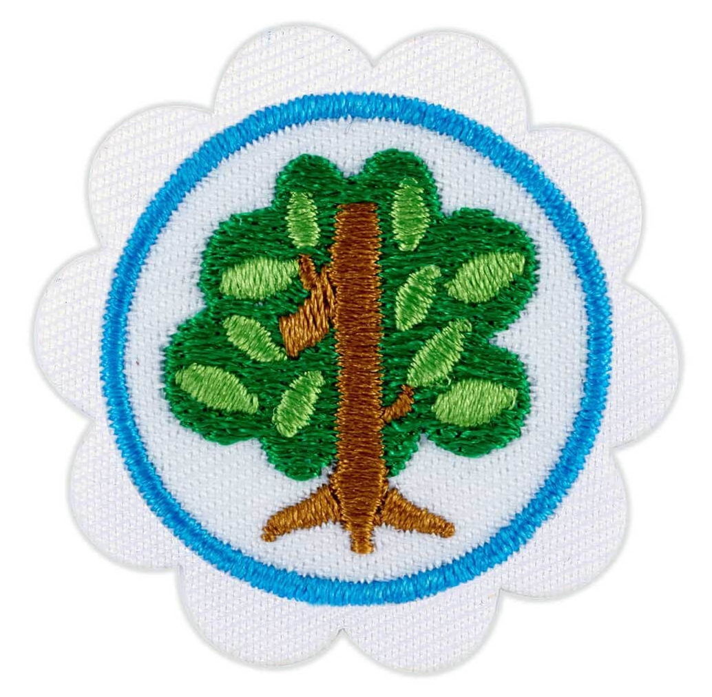 DAISY SHAPES IN NATURE BADGE