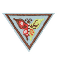 BROWNIE CREATE AND INNOVATE BADGE