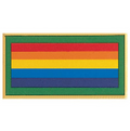 BRIDGE TO ADULT  GS PIN