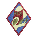 CADETTE NIGHT OWL - STORY