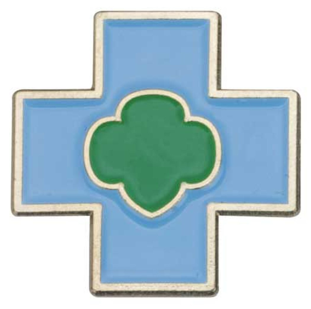 DAISY SAFETY AWARD PIN