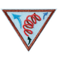 Brownie Leap Bot Design Challenge Engineering Badge