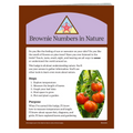 BROWNIE NUMBERS IN NATURE BADGE REQUIREMENTS