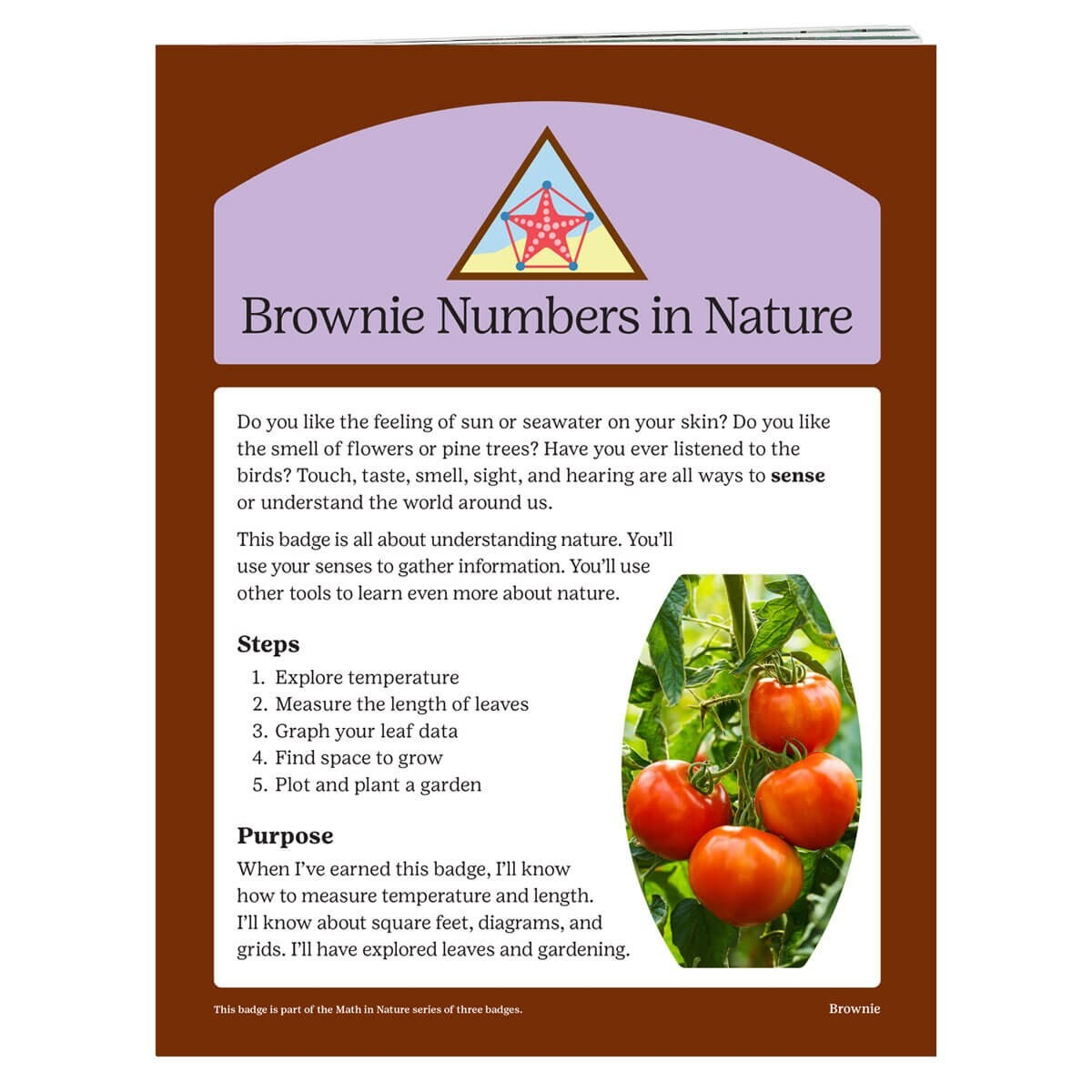 BROWNIE NUMBERS IN NATURE BADGE REQUIREMENTS