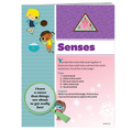 Brownie Senses Badge Requirements