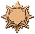 BRONZE AWARD PIN 2011