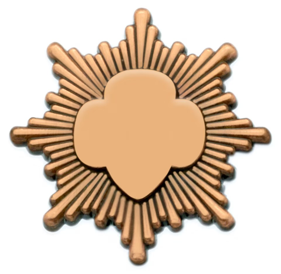 BRONZE AWARD PIN 2011