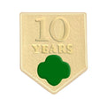 10 YEAR AWARD PIN UPDATED