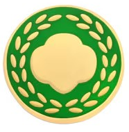 Adult Honor Pin