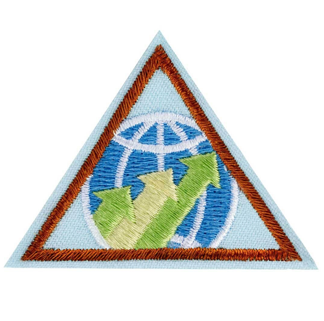 BROWNIE GLOBAL ACTION AWARD YEAR 2