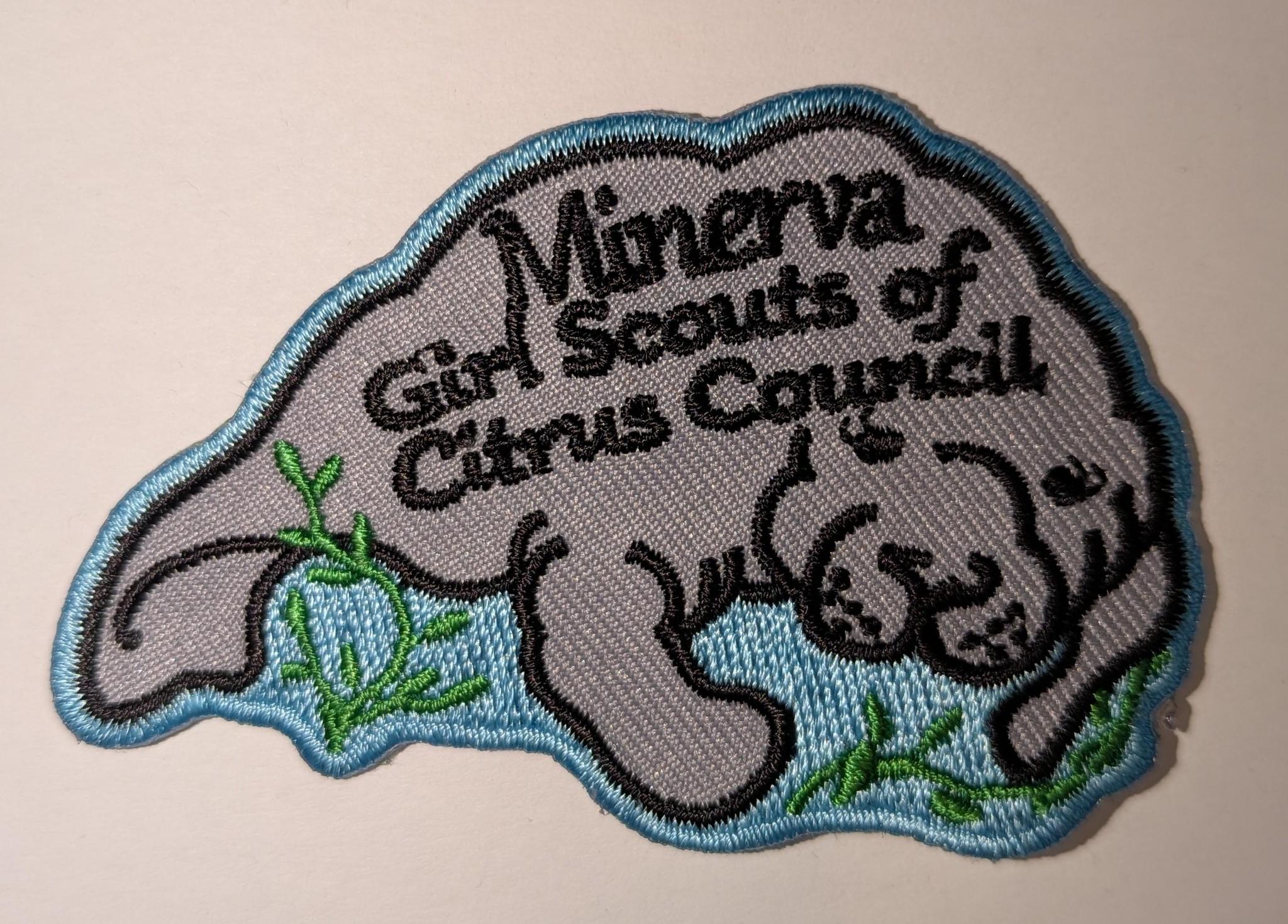 MINERVA PATCH