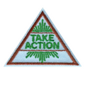 Brownie Take Action Award