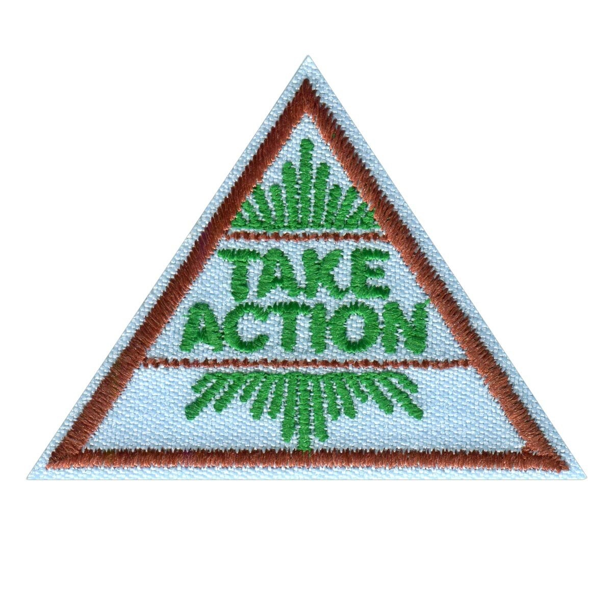 Brownie Take Action Award