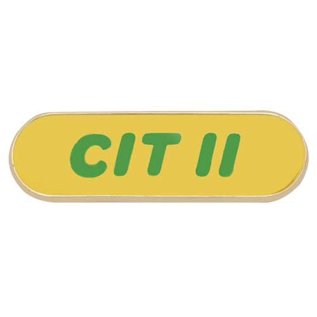 CIT 2 PIN