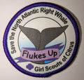 Flukes up program patch