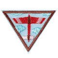 Brownie Fling Flyer Design Challenge Engineering Badge