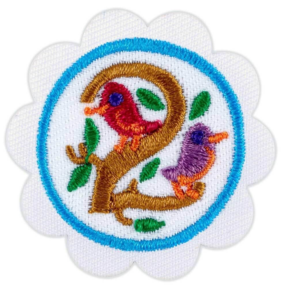 DAISY NUMBERS IN NATURE BADGE